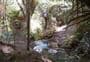 Northern Tangihua Track
