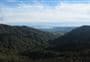 Hihikiwi Track