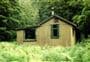 Lake Hankinson Hut