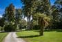 Pelorus Bridge Campground