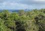 Rangitoto Island longer walks