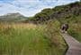 Kaitoke Hot Springs Track