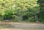 Waiona Bay Campsite