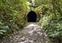 Historic Railway Tunnel Walk