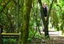 Talbot Forest Scenic Reserve tracks