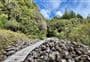 Goldsborough short walks