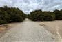 Hikuwai Link Track