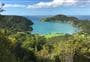 Whangamumu Track