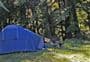 Mangawaiiti Campsite