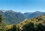 Woolshed Hill Track
