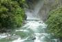 Hollyford Track: Hidden Falls Track