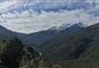 Haast Pass Lookout Track