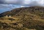 Mt Bee Bunkrooms