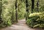 Lake Rotoiti (Kerr Bay) walks