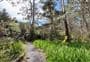 Pā Road Walk