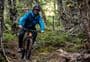 Cuckoo Creek Track