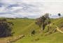 Pūponga Hilltop Walk