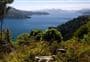 Queen Charlotte Track