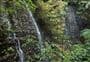 Barrs Falls (Barrs Falls Scenic Reserve)