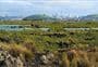 Rangitoto Island shorter walks
