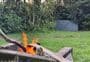 Scotts Beach Campsite