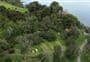 Fantail Bay Campsite