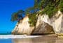 Mautohe Cathedral Cove Track