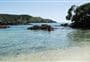 Maitai Bay Campsite 