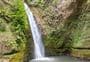 Tangoio Falls Scenic Reserve tracks