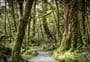 Lake Gunn Nature Walk