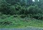 Ngaporo Campsite
