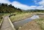 Orokonui Creek Walking Track