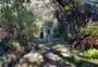 Kidds Bush Nature Walk