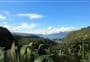 Tarawera Trail