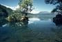 Humphries Bay Campsite