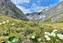 Gertrude Saddle Route