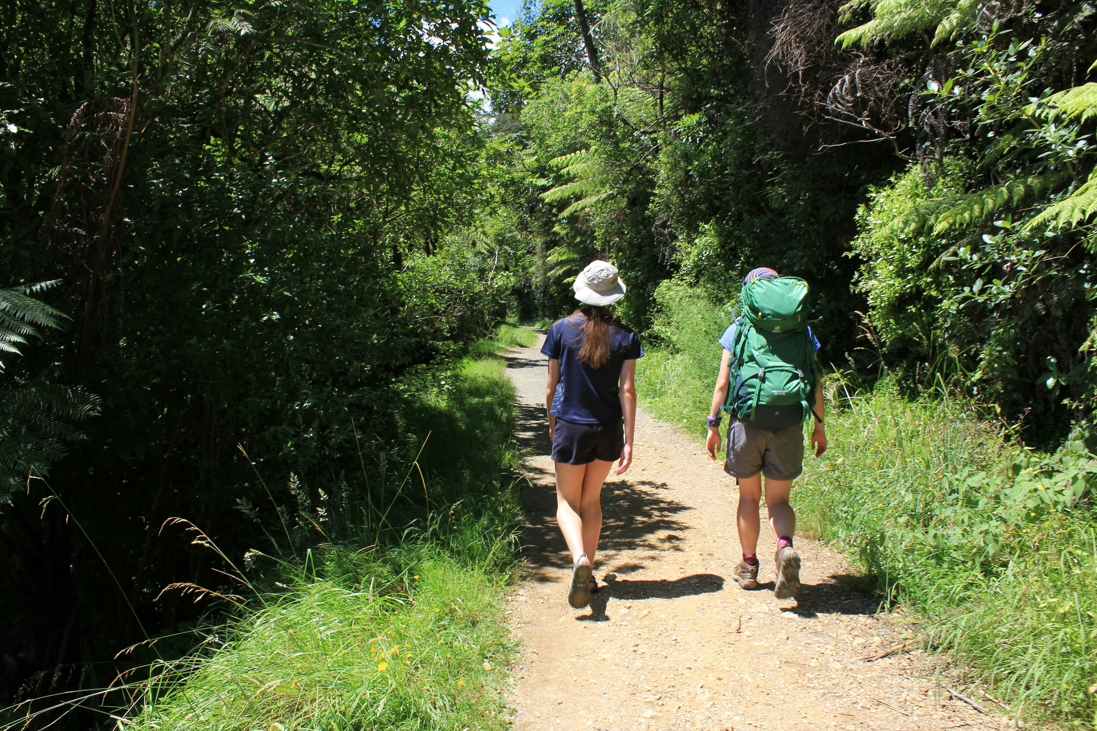 Two hikers walking down a forested trail in New Zealand