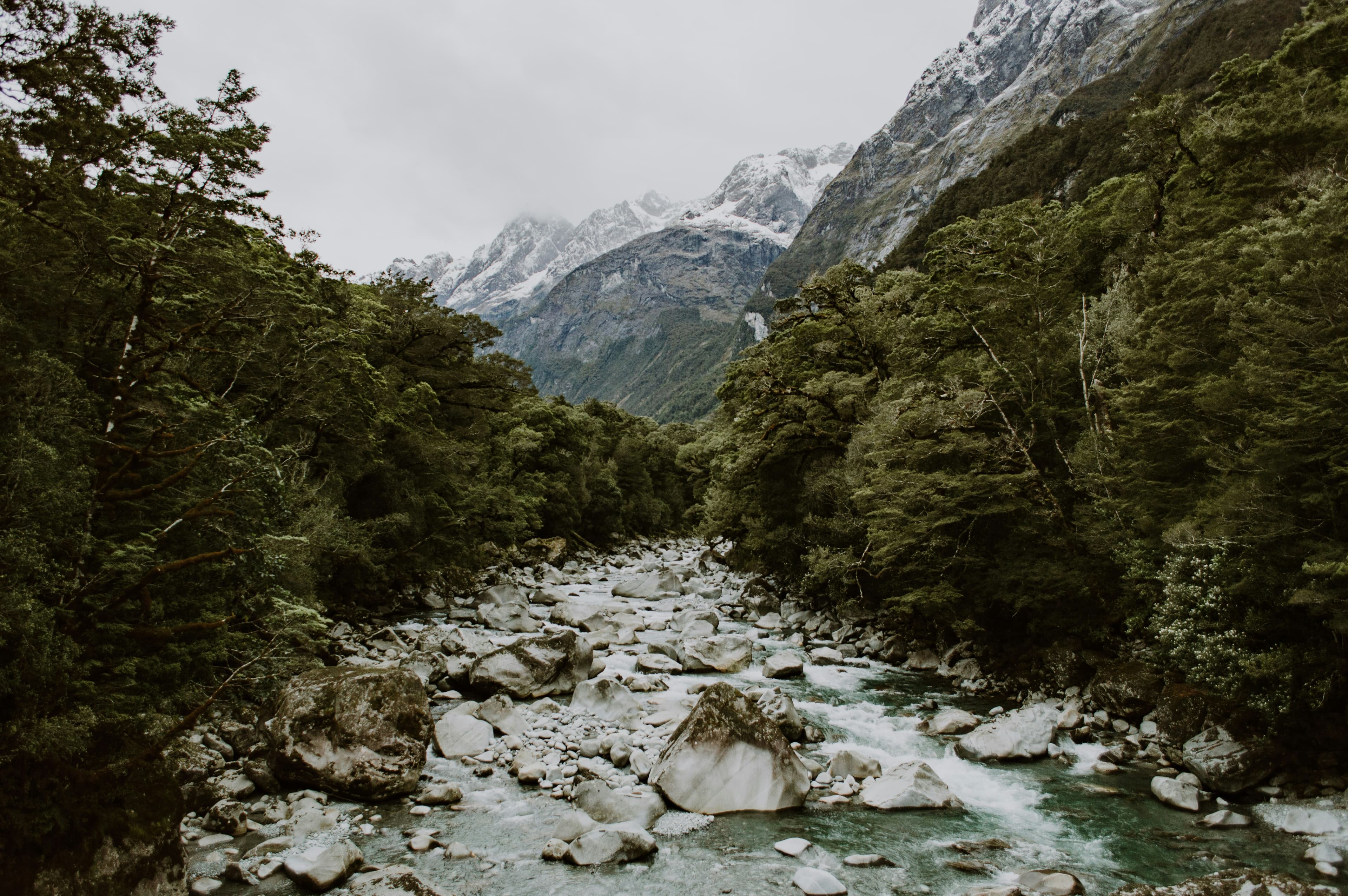 Hawke's Bay