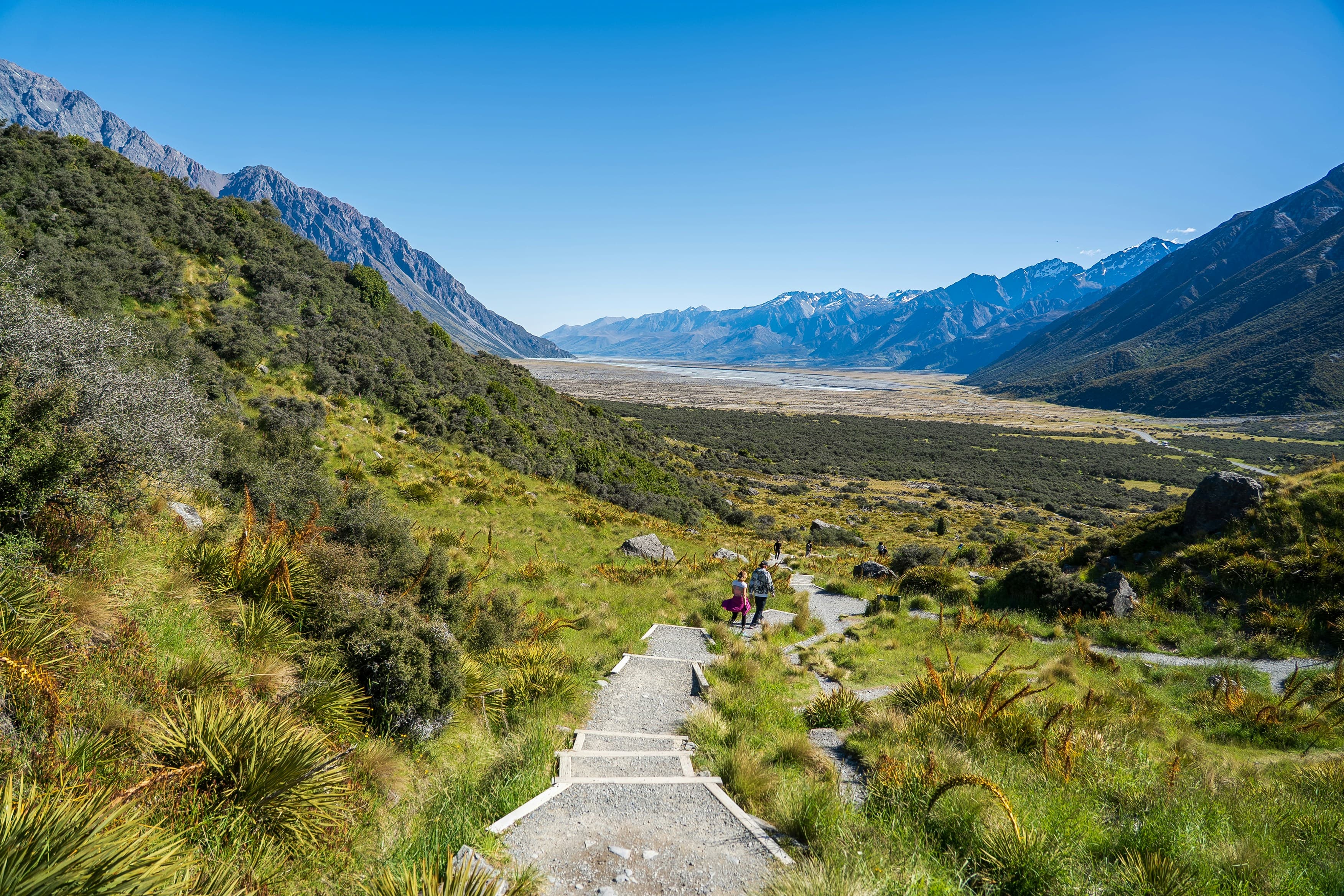 Mountain biker on a New Zealand trail